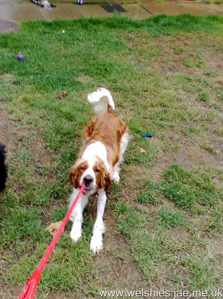 2010-08-07 02.jpg - I hate my lead